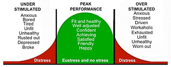 the-peak-performance-zone