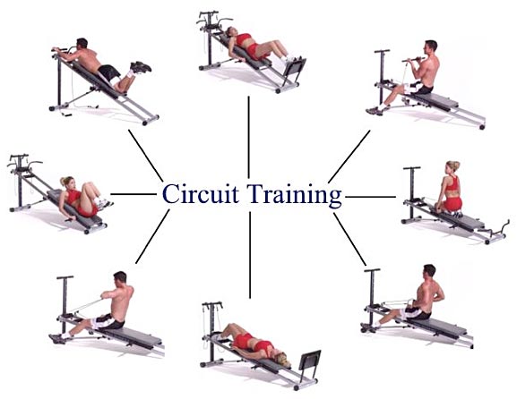 circuit training physical exercise